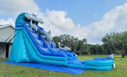 21ft Dolphin Water Slide