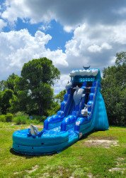 20240703 145439201 1724356989 21ft Dolphin Water Slide